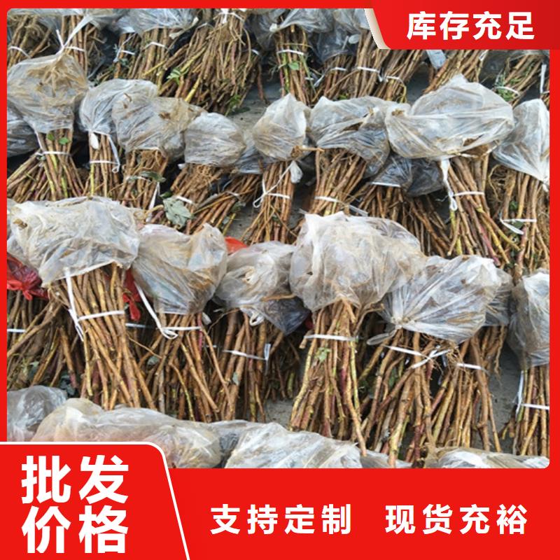 树莓奶油草莓一站式采购商