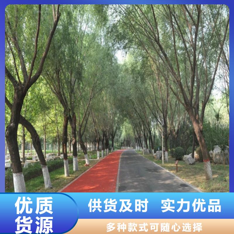 健身步道复合型塑胶跑道多种场景适用