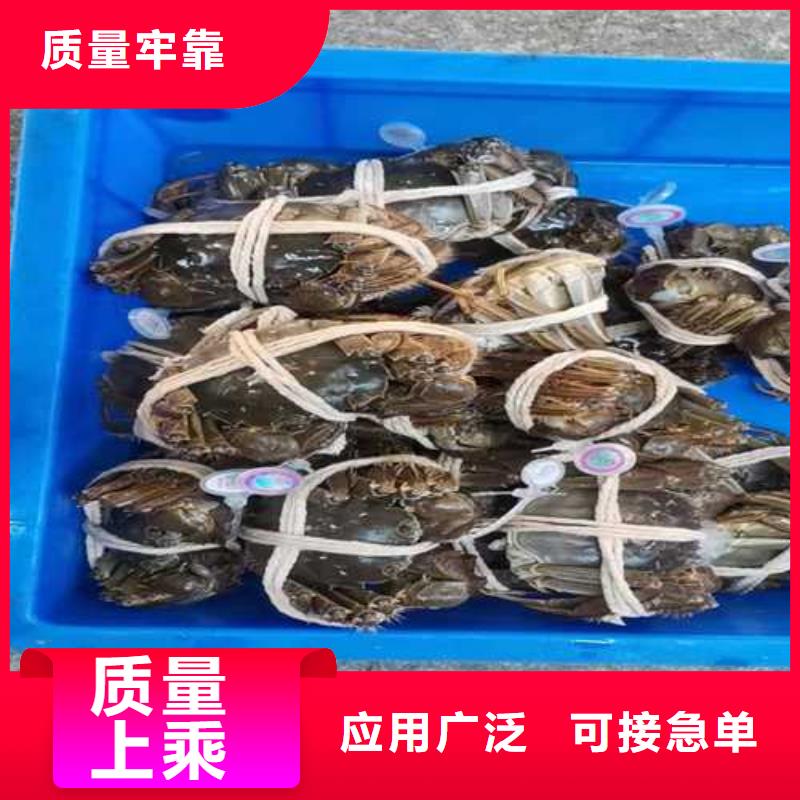 江苏阳澄湖大闸蟹哪家正宗