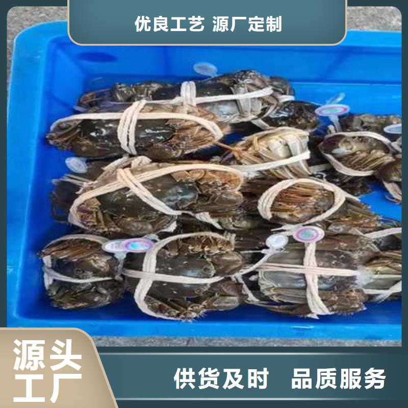 苏州阳澄湖大闸蟹哪里好