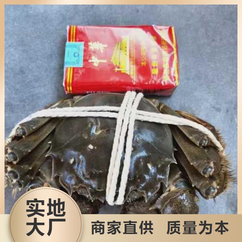 去阳澄湖大闸蟹哪家正宗在苏州阳澄湖