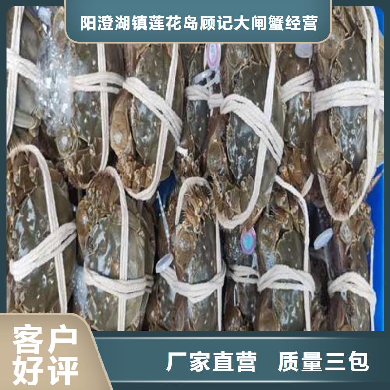 苏州阳澄湖大闸蟹哪家正宗