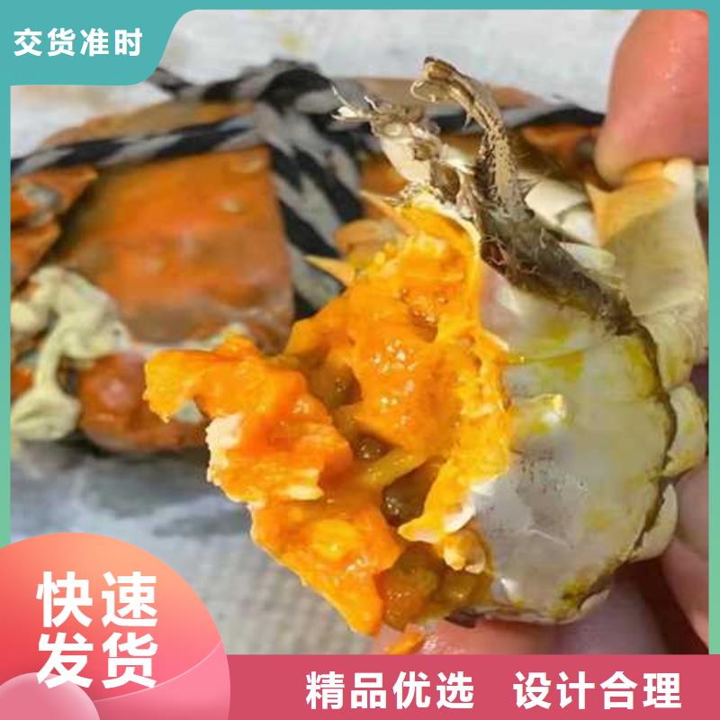 去阳澄湖大闸蟹哪家正宗在苏州阳澄湖