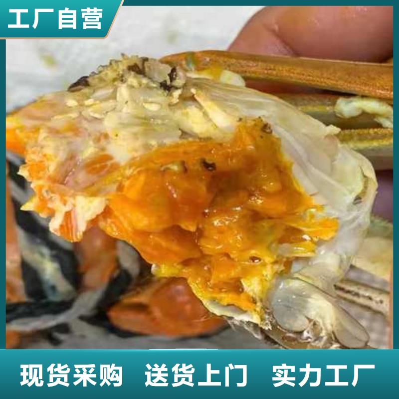 苏州阳澄湖大闸蟹那家实惠好吃