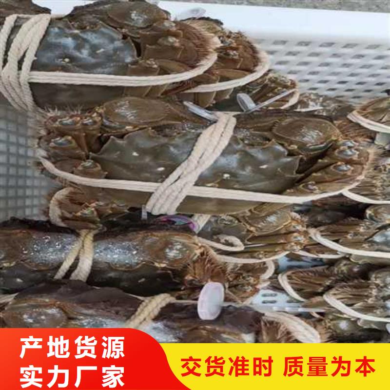 苏州阳澄湖大闸蟹哪家比较好