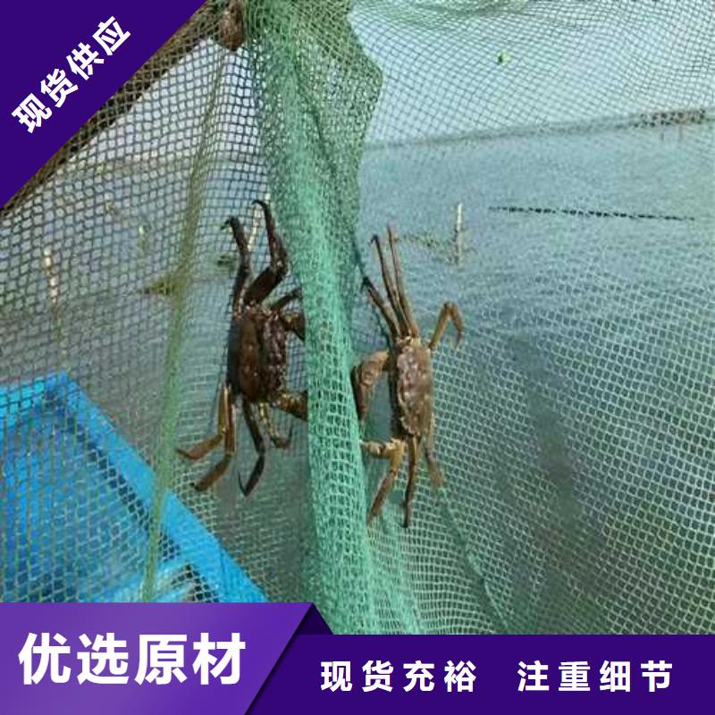 去阳澄湖大闸蟹哪家正宗在苏州阳澄湖