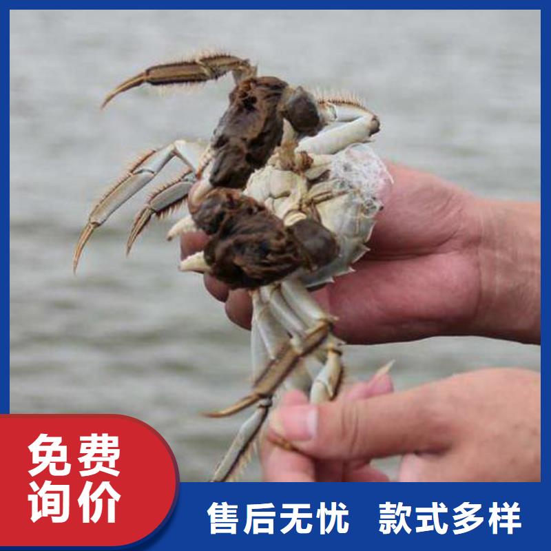 苏州阳澄湖大闸蟹哪里好