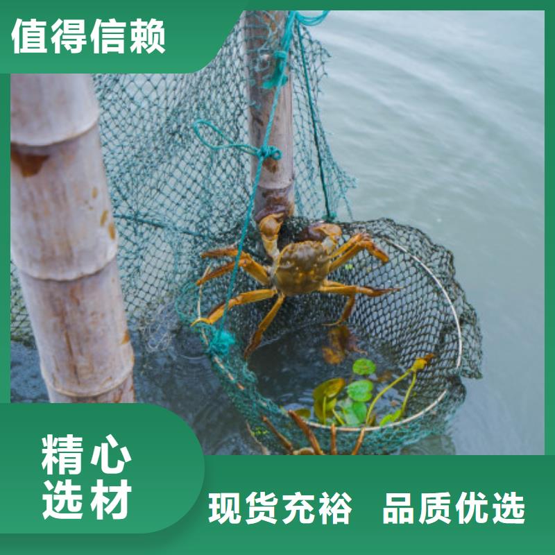 江苏阳澄湖大闸蟹哪家正宗