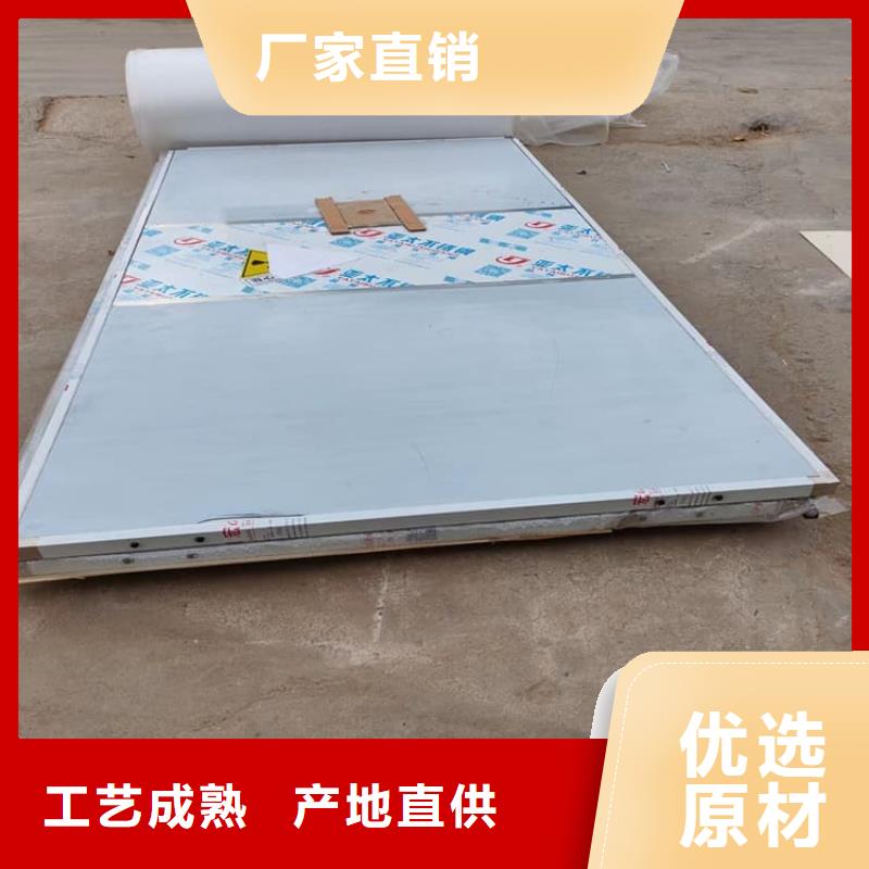 电动遥控铅门优良品质