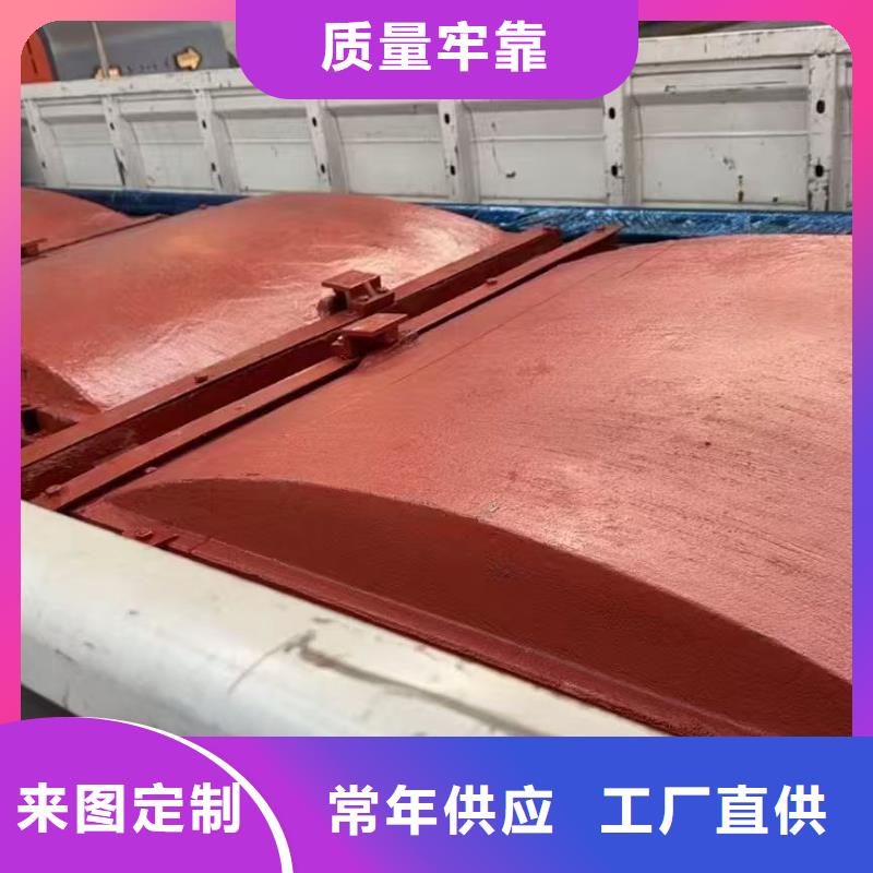 铸铁镶铜闸门-异形铸铁双向止水闸门实力雄厚