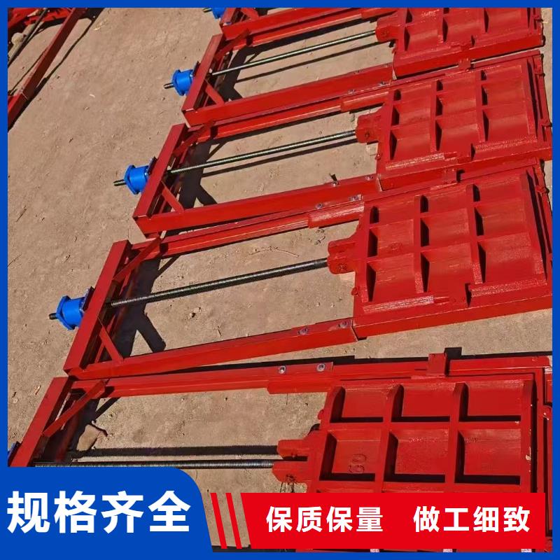 墙式镶铜铸铁圆闸门