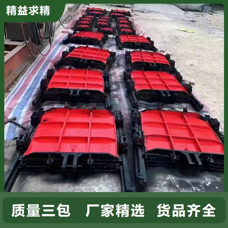 闸门启闭机-启闭机深水铸铁闸门智慧水利