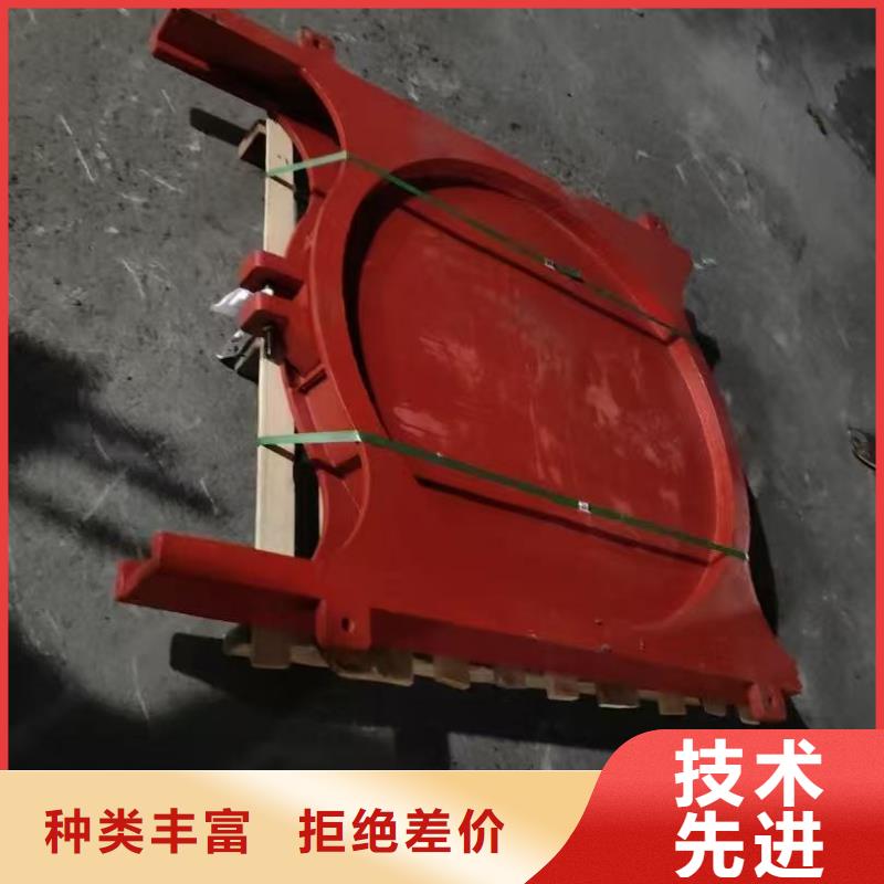 铸铁闸门-平板铸铁镶铜闸门信誉良好