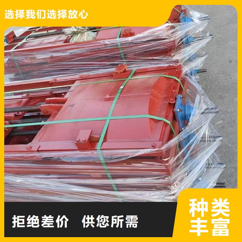 河道铸铁闸门-双向拦水铸铁闸门一站式