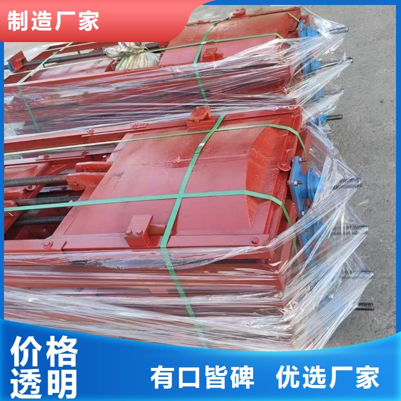 铸铁闸门-平板铸铁镶铜闸门信誉良好