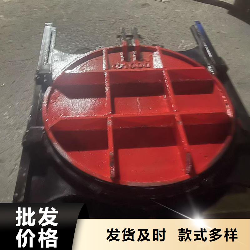 闸门启闭机-铸铁双向止水闸门高品质