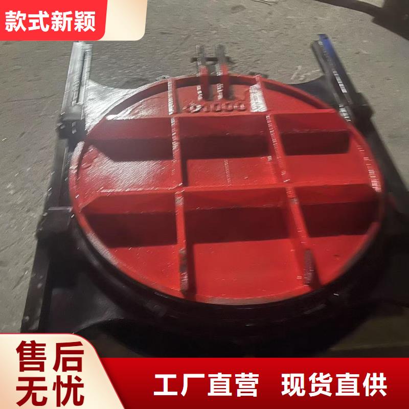 PZ平板平面铸铁闸门[厂家价格]