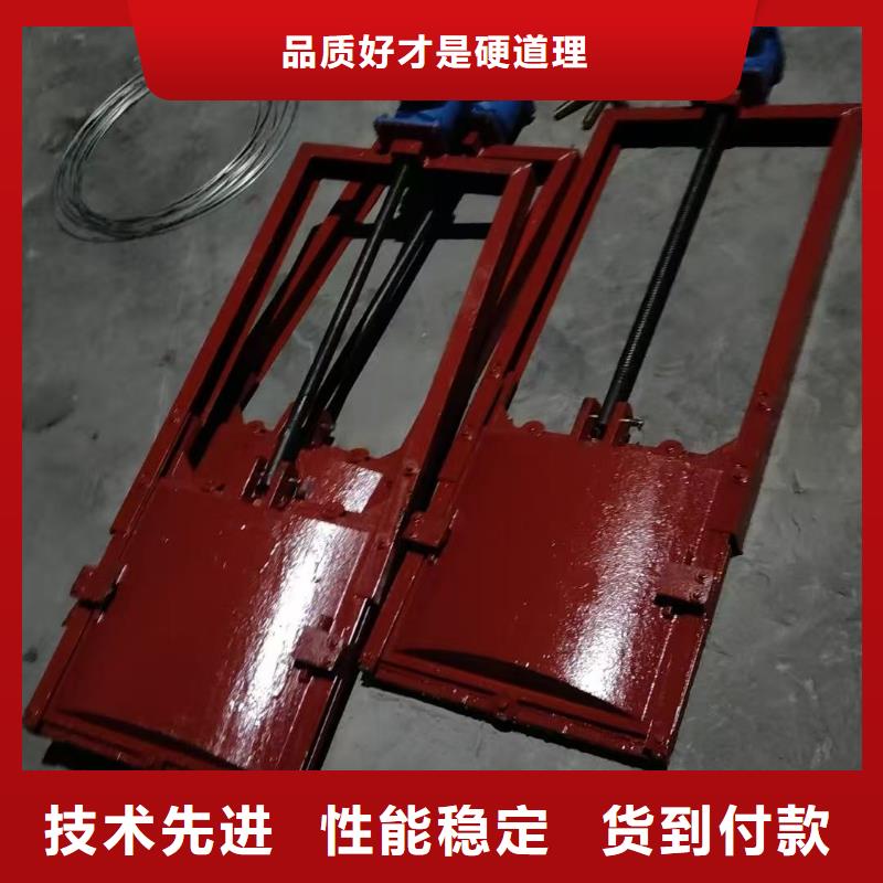 铸铁闸门-ZMQF铸铁镶铜闸门售后无忧