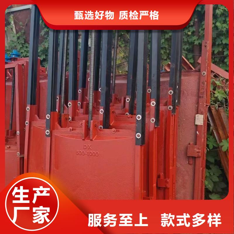 高压铸铁闸门