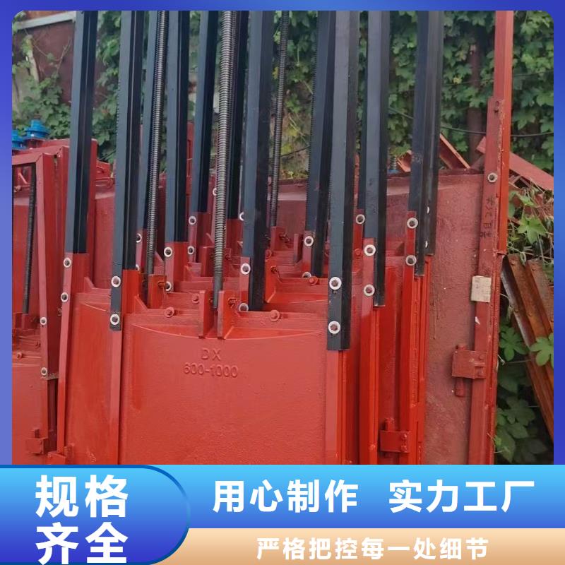 节制闸门养殖闸门
