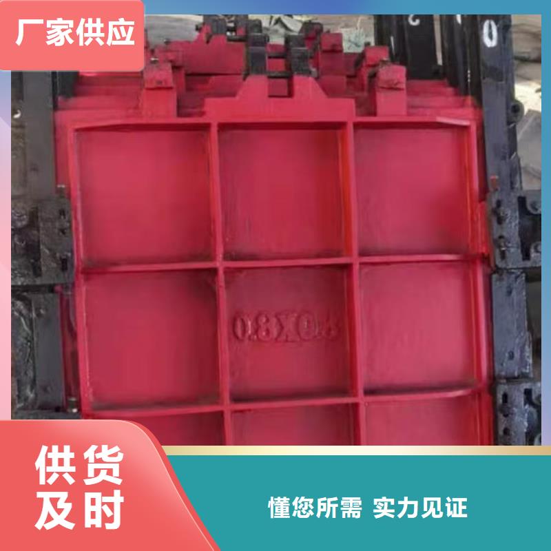 铸铁镶铜方形闸门