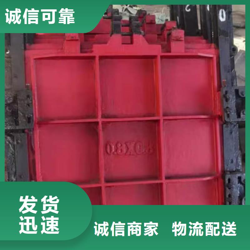 铸铁闸门-闸门与启闭机智慧水利