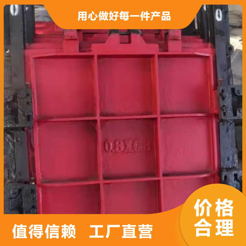 铸铁镶铜闸门-双向止水铸铁镶铜闸门实力雄厚