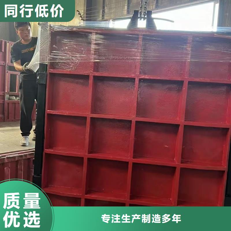 启闭机闸门-闸门启闭器品质卓越