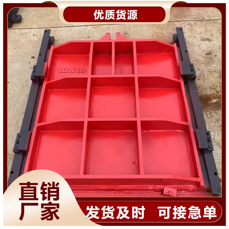平面拱形闸门-水电站闸门终身维护