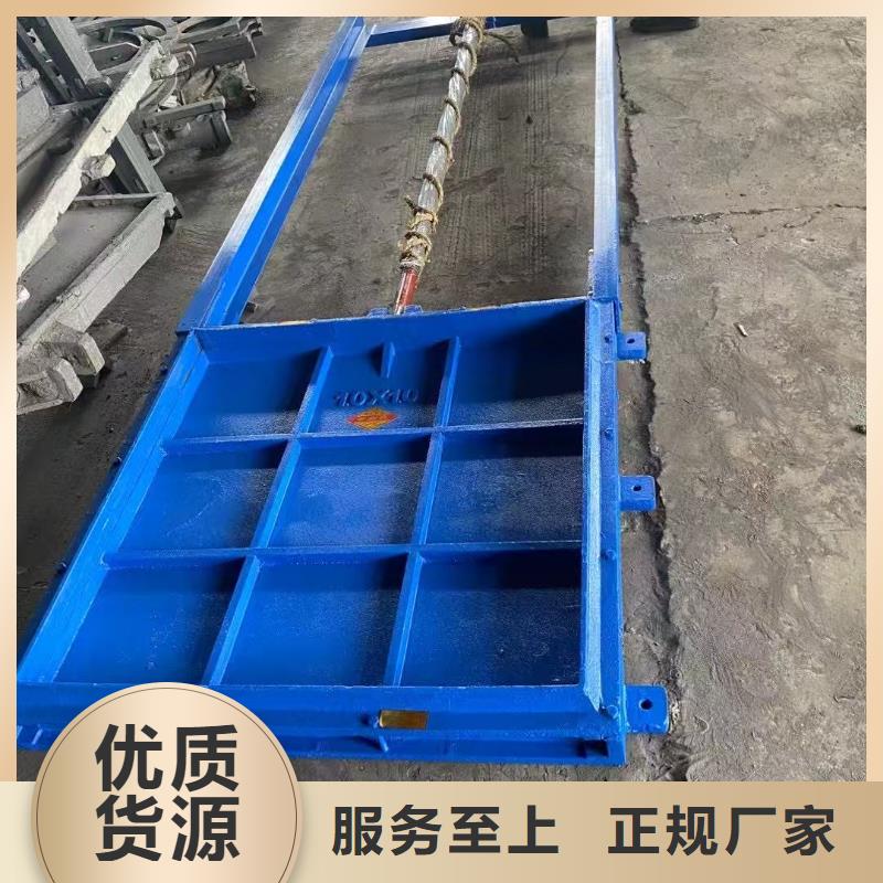 PGZ2*2米铸铁闸门