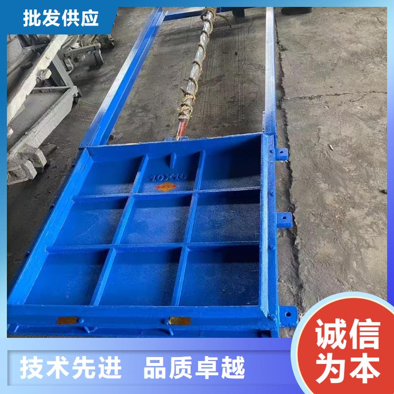 启闭机闸门-水电站启闭机闸门24小时售后服务