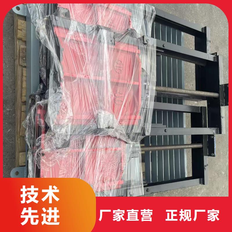 排灌渠铸铁闸门[厂家]