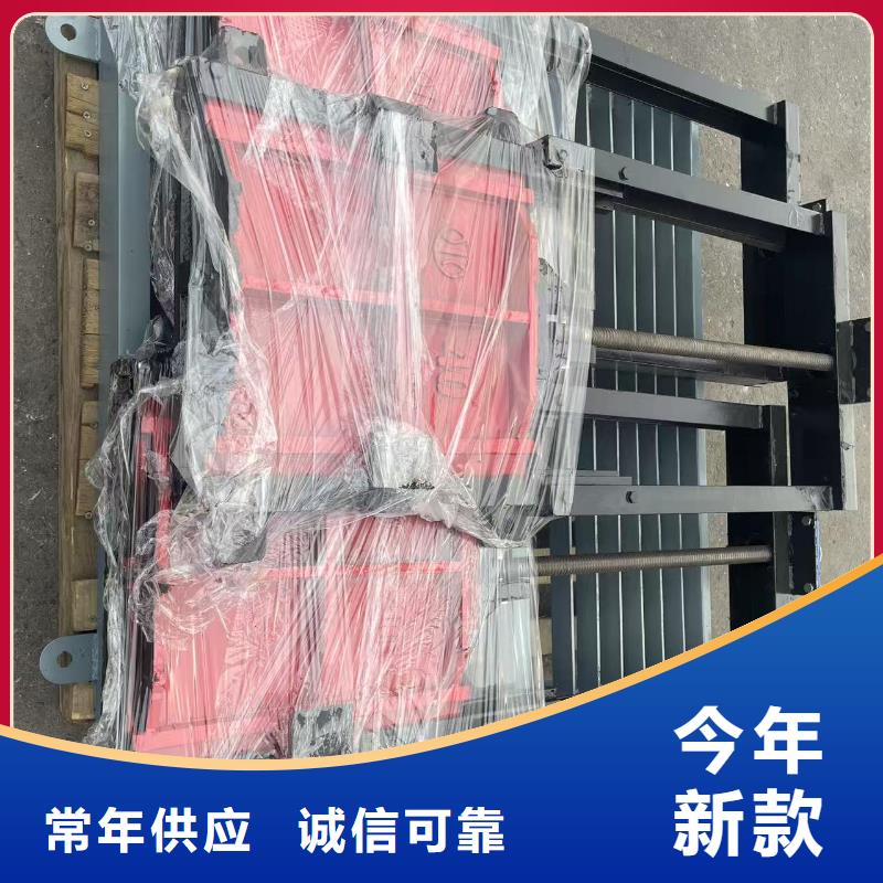 PZ平板平面铸铁闸门量大从优