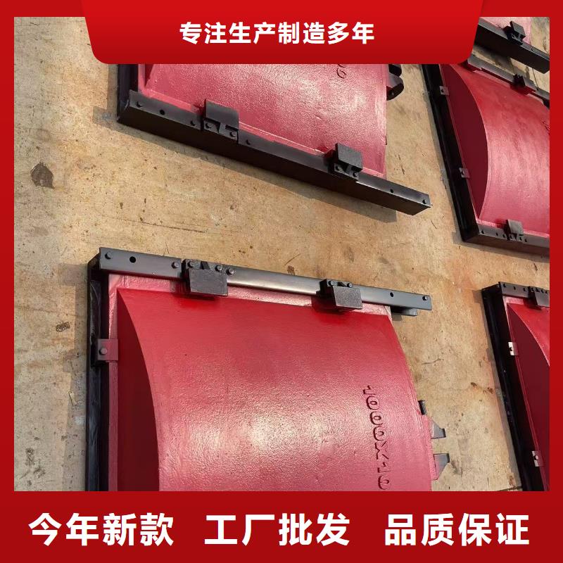 铸铁镶铜闸门-河道铸铁闸门品质卓越