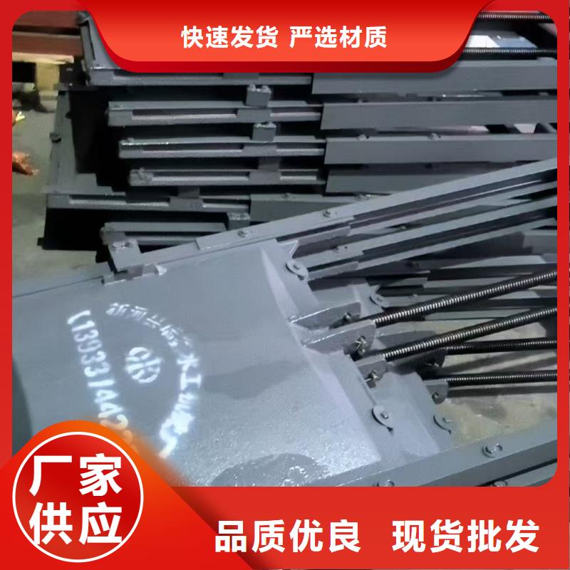 双向铸铁镶铜闸门
