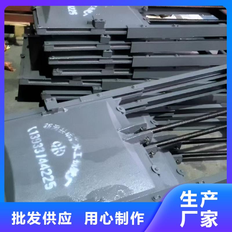 启闭机闸门-闸门与启闭机创新