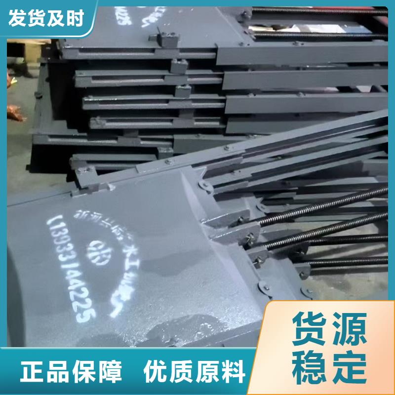 铸铁闸门-平面铸铁闸门老品牌