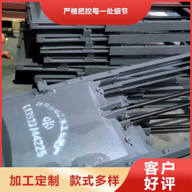 铸铁镶铜闸门-PGZ渠道铸铁闸门口碑极佳