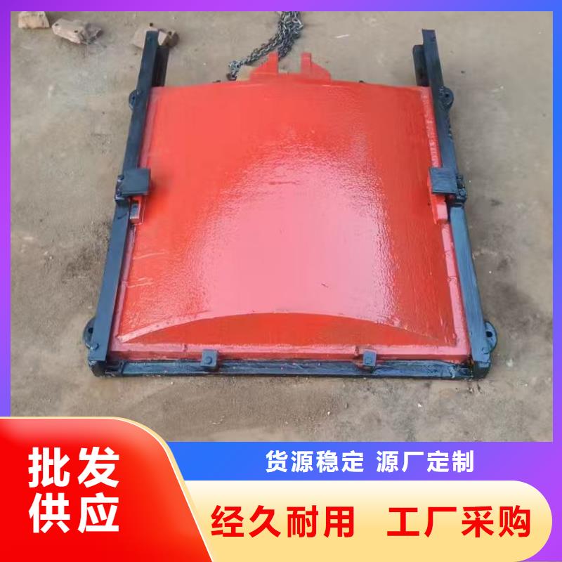 SFZ铸铁镶铜方形闸门厂家供应