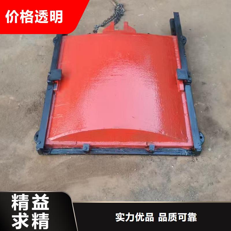 渠道闸门-平面闸门带直联启闭机快速响应