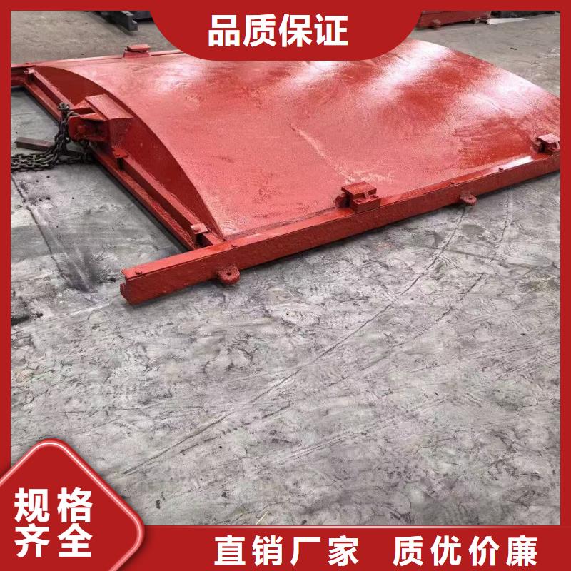 渠道闸门-暗杆铸铁镶铜闸门定制化
