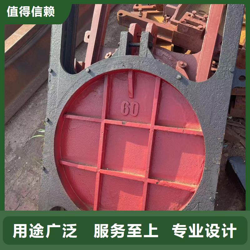 防倒灌闸门