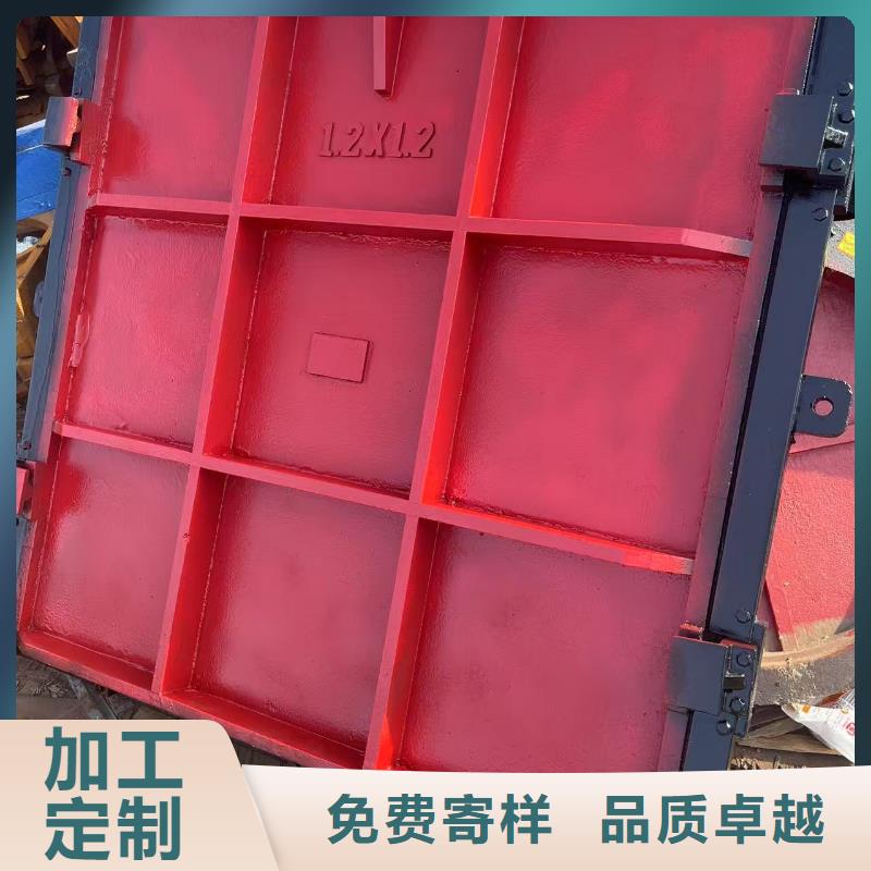 铸铁镶铜闸门[供应商价格]