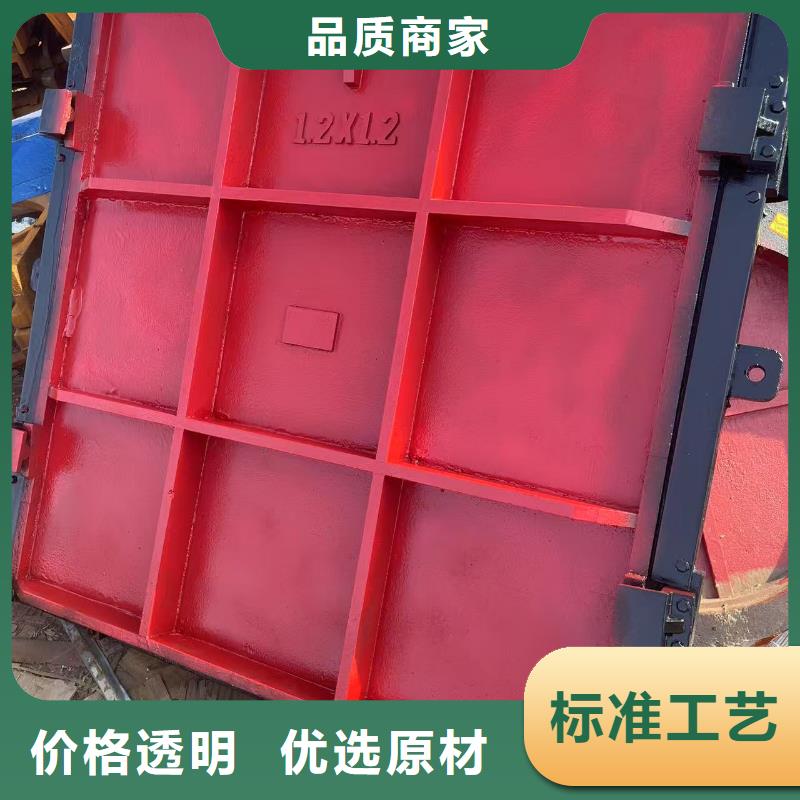 启闭机闸门-双向止水铸铁闸门环保型