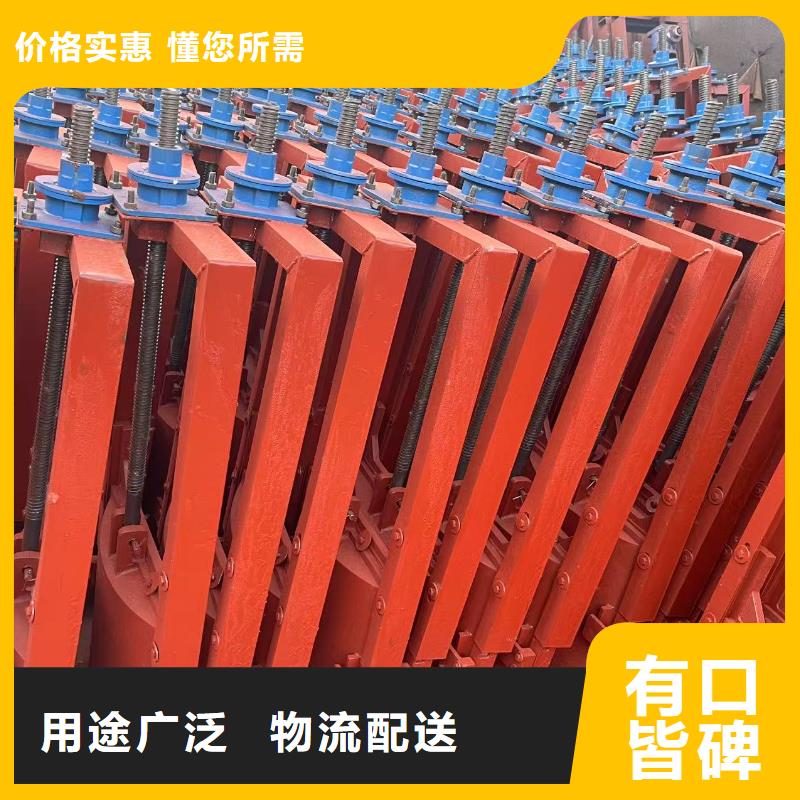 一体式铸铁闸门