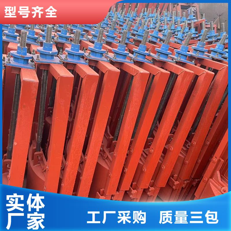 PZ平板平面铸铁闸门量大从优
