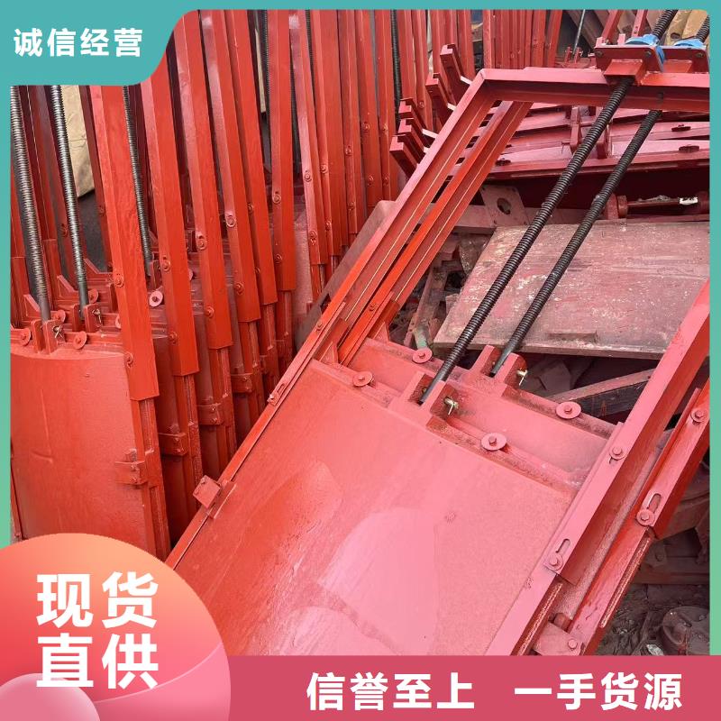 渠道闸门-PZ双向止水铸铁镶铜闸门节能