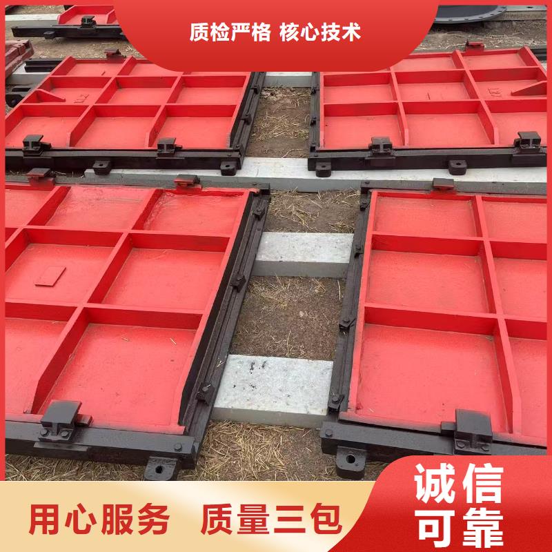 机闸一体式启闭机闸门厂家供应