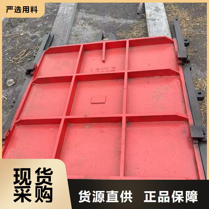 启闭机闸门-pz机闸一体式铸铁闸门信誉良好