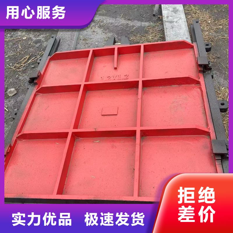 启闭机铸铁闸门量大从优